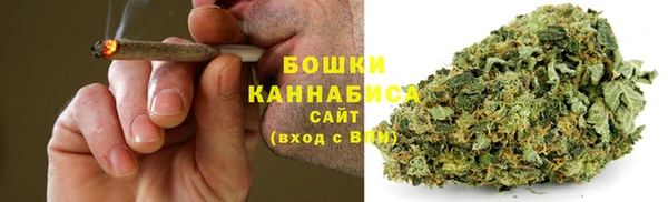 прущие грибы Белокуриха