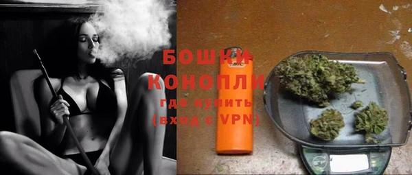 прущие грибы Белокуриха