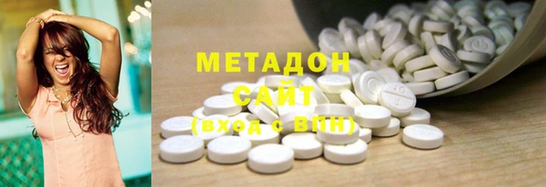 прущие грибы Белокуриха