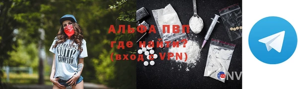 прущие грибы Белокуриха