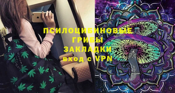 прущие грибы Белокуриха