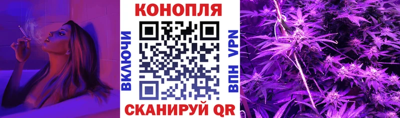 где купить наркоту  Сланцы  Канабис OG Kush 
